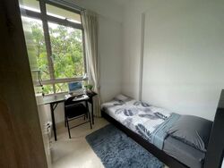 The Blossomvale (D21), Condominium #479807561